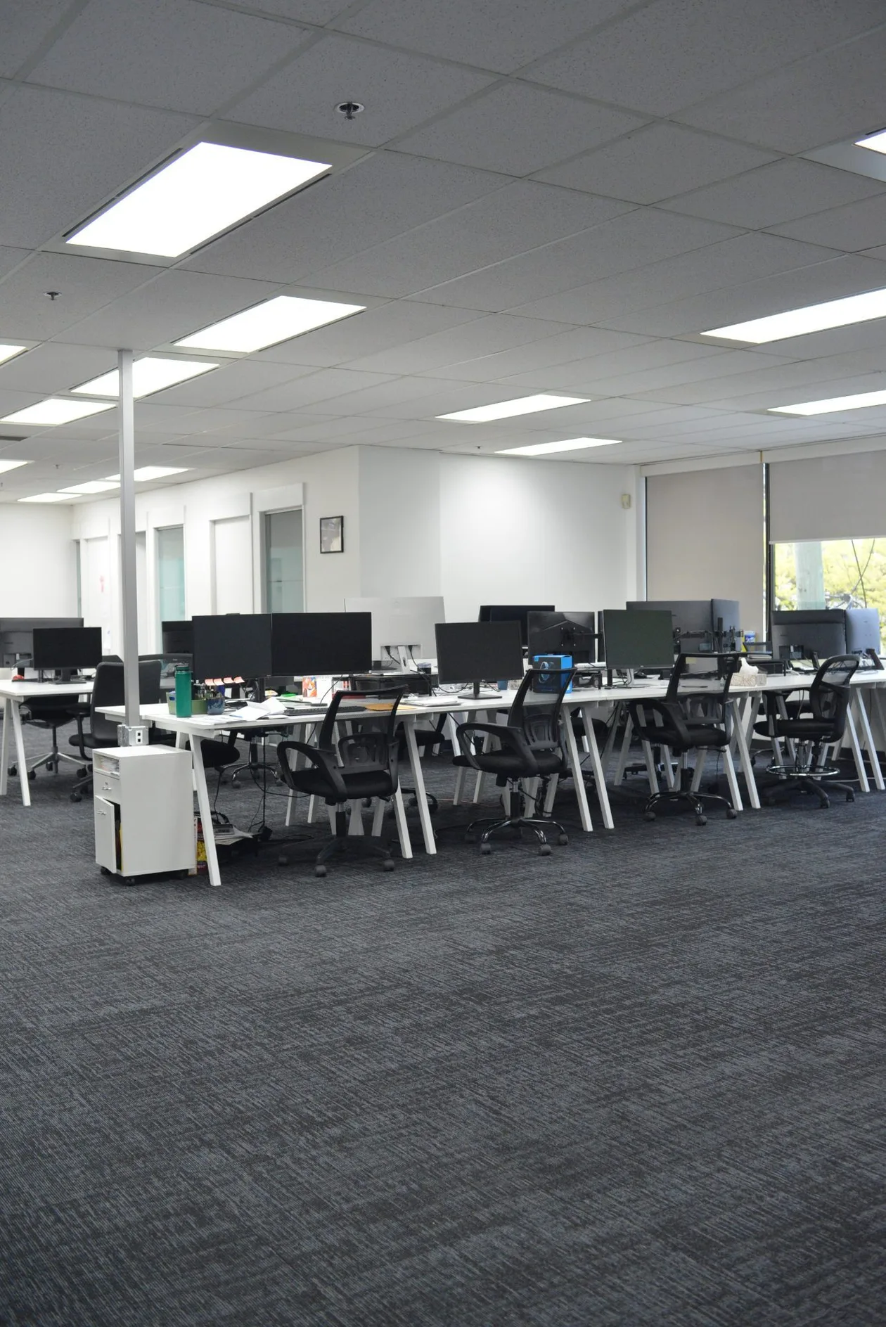 Open office with rows of height-adjustable workstations, task chairs and carpet tile