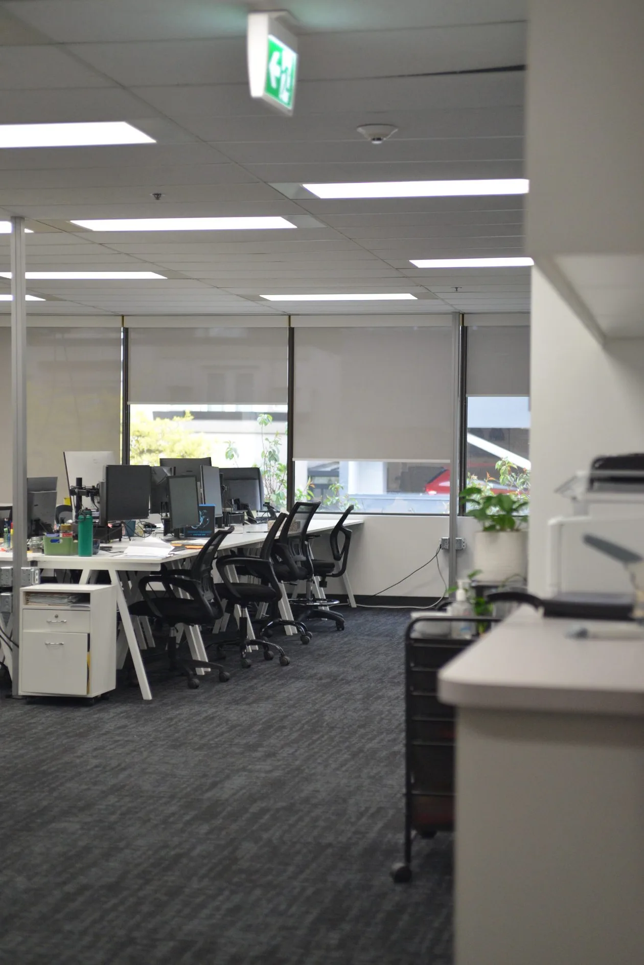 Workstation rows along the window wall with monitor arms and storage pedestals