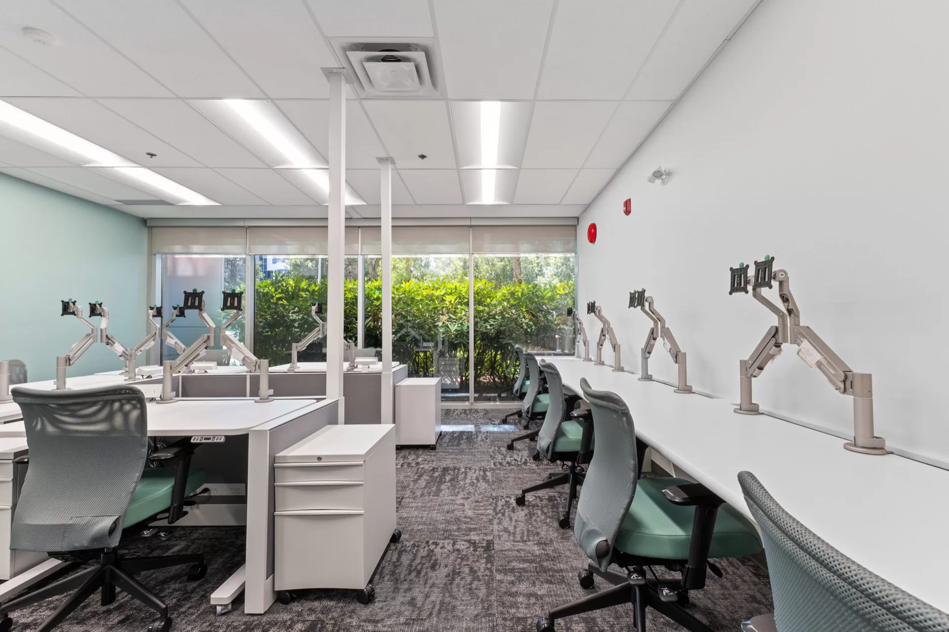 CFIA — interior 2