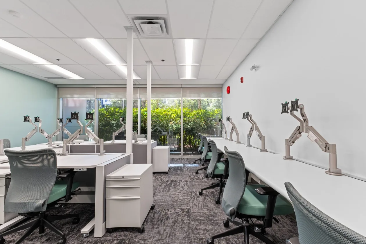 Height-adjustable workstations with dual monitor arms and task chairs at the window