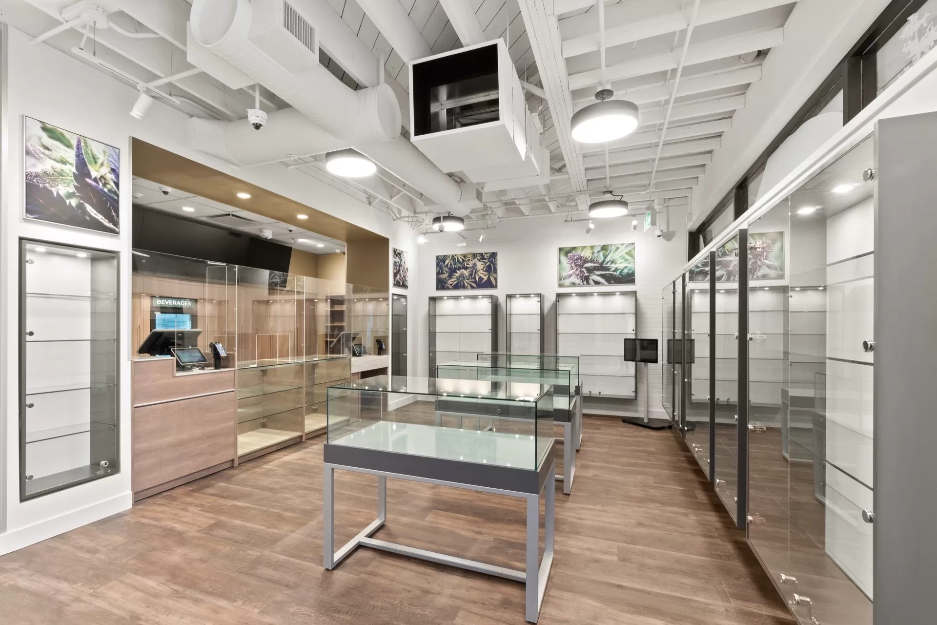 Norgate Cannabis Store — interior 1